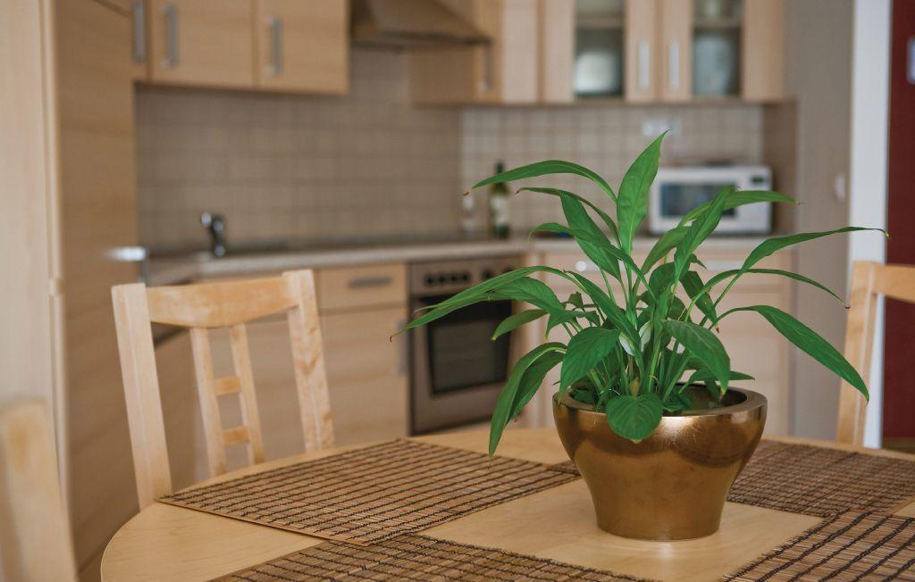 Bpm-Apartment Kiraly Budapest Bilik gambar